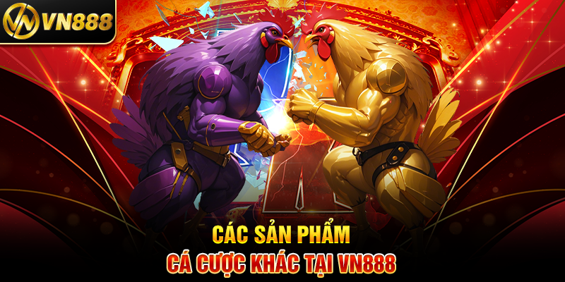 Các Sản Phẩm Cá Cược Khác Tại VN888