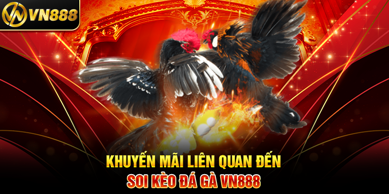 Khuyến Mãi Liên Quan Đến Soi Kèo Đá Gà VN888
